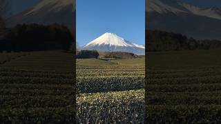 Mt. Fuji at Obuchi Sasabe, Shizuoka Japan! #mtfuji #japan #travel #japantravel #fujisan