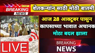 शेतकऱ्यांन साठी मोठी बातमी कापूस 9000 ते 10000. || महाराष्ट्रातील शेतकरयांना साठी दिलास दाय बातमी ||