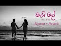 Mai Mal (මැයි මල්) Official Music ( Slowed + Reverb )