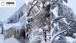 Heavy snowfall hits Victoria