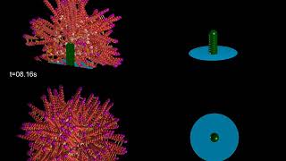 Model of actin nucleation during endocytosis