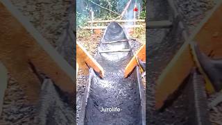 Handcrafted Wooden Boat: Carving a Giant Tree into a Stunning Canoe #shorts #skills #diy wooden boat