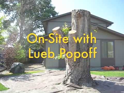 On Site with Lueb Popoff On Site with Lueb Popoff