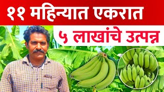 Banana Farming Success Story | केळी शेतीतून ११ महिन्यांत लखपती | केळी यशोगाथा | महेंद्र भोर