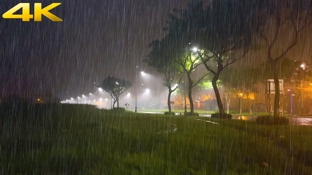 Relax With The Soothing Sound Of Thunder And Rain White Noise Provides Relax With The Soothing Sound Of Thunder And Rain White Noise Provides