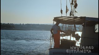 Taste the Mediterranean! Good food in Novigrad inspired by the sea / drone video