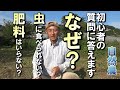 【自然農】なぜ？肥料が無くても育つ？虫に食べられない？自然農初心者の質問に答えます 2024年11月5日【natural farming】