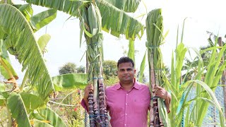 A happy beginning from our Small farm with a great Sugarcane Harvest!