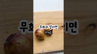 #간식추천 #cooking #한끼요리 #아침대용 #제철과일 #무화과 #요거트 #그래놀라 #냉동과일 #다이어트식단