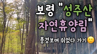 보령시 TOP5 #성주산 #자연휴양림 #둘러보기 #힐링타임 #힐링음악 #힐링영상