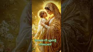 അമ്മേ നീ എൻ്റെ നിഴലാണ് #mariam #amma #youtube