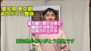 回復力向上 重力整体 愛知県 蒲郡市 整体 ありがとう整体