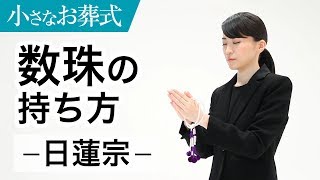 ＜日蓮宗＞葬儀の際の数珠の持ち方【小さなお葬式 公式】