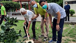 疫情緊繃宅在家 榮家老人種植果樹超療癒