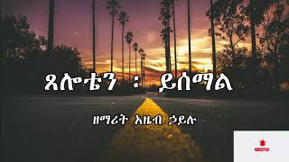 አዜብ ኃይሉ \