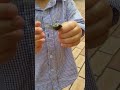 매미잡는법 howto grab cicada 관찰후바로나무에풀어줌