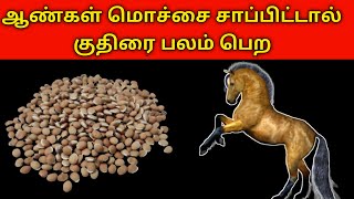 இச்சை தரும் மொச்சை | குதிரை பலம் பெற ஆணுறுப்பு சோர்வு | மொச்சை கொட்டை அவியல் // பழைய பேப்பர்