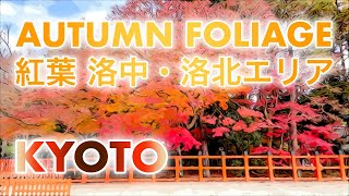 秋の京都 紅葉 洛中・洛北エリア 京都御苑 上賀茂神社 Autumn foliage in Kyoto Central \u0026 North area