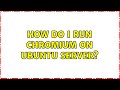 How do I run Chromium on Ubuntu Server? (3 Solutions!!)