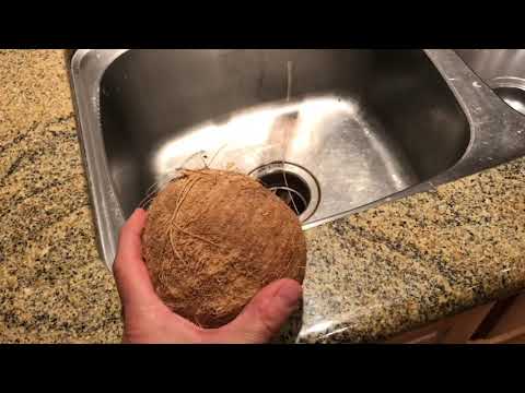 How to crack a coconut How to crack a coconut