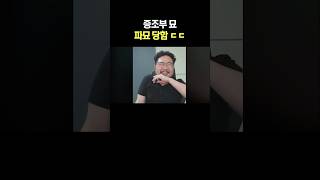 증조부 묘 파묘 당함 ㄷㄷ