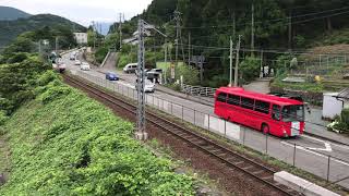 大井川鉄道　トーマスとバーディーの並走