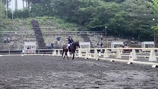 第65回関東学生馬術女子選手権大会　三回戦　整風　佐渡蒔結子全日本学生馬術連盟学生選手権馬場馬術課目2018