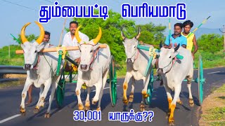 3தும்பைப்பட்டி-பெரியமாடு-பந்தயம்_17.09.2024_OOR_KURUVI2.0