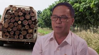SOPA Awards 2017 Excellence in Investigative Reporting . Aun Pheap, Cambodia Daily