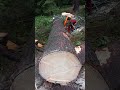 Chainsaw Husqvarna  VS Lumberjack