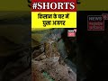 shorts किसान के घर में घुसा अजगर n18s viral video