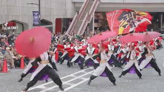 『 よさこいダンスチーム東海大学 響 』 2024年11月10日　町田夢舞生ッスイ祭り 2024