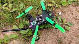 FPV 180 Maiden flight