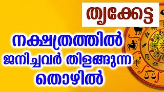 തൃക്കേട്ട നക്ഷത്രത്തിൽ ജനിച്ചവർ തിളങ്ങുന്ന തൊഴിൽ