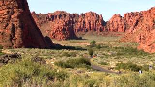 2014 Ironman 70.3 St George U.S. Pro Championship Broadcast