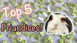 Mon top 5 de friandises pour cochons d’Inde! Saines et délicieuses!