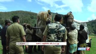 Ooty leopard trapped and freed in forest area | Tamil Nadu | News7 Tamil