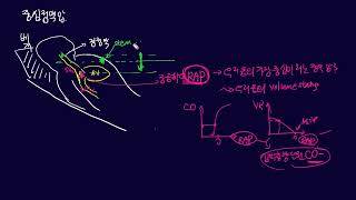 CVP-01 우리 몸에 가장 중심이 되는 압력, 중심정맥압 CVP (feat. 경정맥압 JVP를 측정하는 방법)