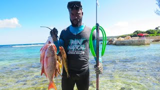 Catch N Cook | 4lb Mutton Snapper, Lobster and Lizard Fish