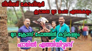 നീലി രവി കോഹിനൂർ, മുറ ചെന എരുമകളും മുറ ക്രോസ്സ് പോത്തിൻ കുട്ടികളും. പുതിയ ലോഡ് ഫാമിൽ എത്തിRG Farming