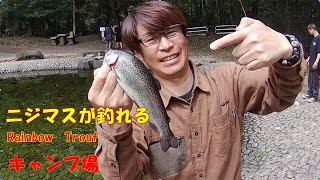 【釣りキャンプ】宮崎県奥霧島皇子原公園キャンプ場でニジマスを釣って食す！