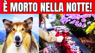 È MORTO NELLA NOTTE IL MITO DELLA NOSTRA INFANZIA! - GRAVISSIMO LUTTO PER IL CINEMA...