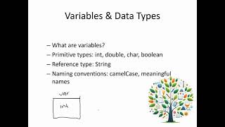 Java Lesson 2: Java Basics (Variables, Print Statements, Inputs using Scanner, Operators)