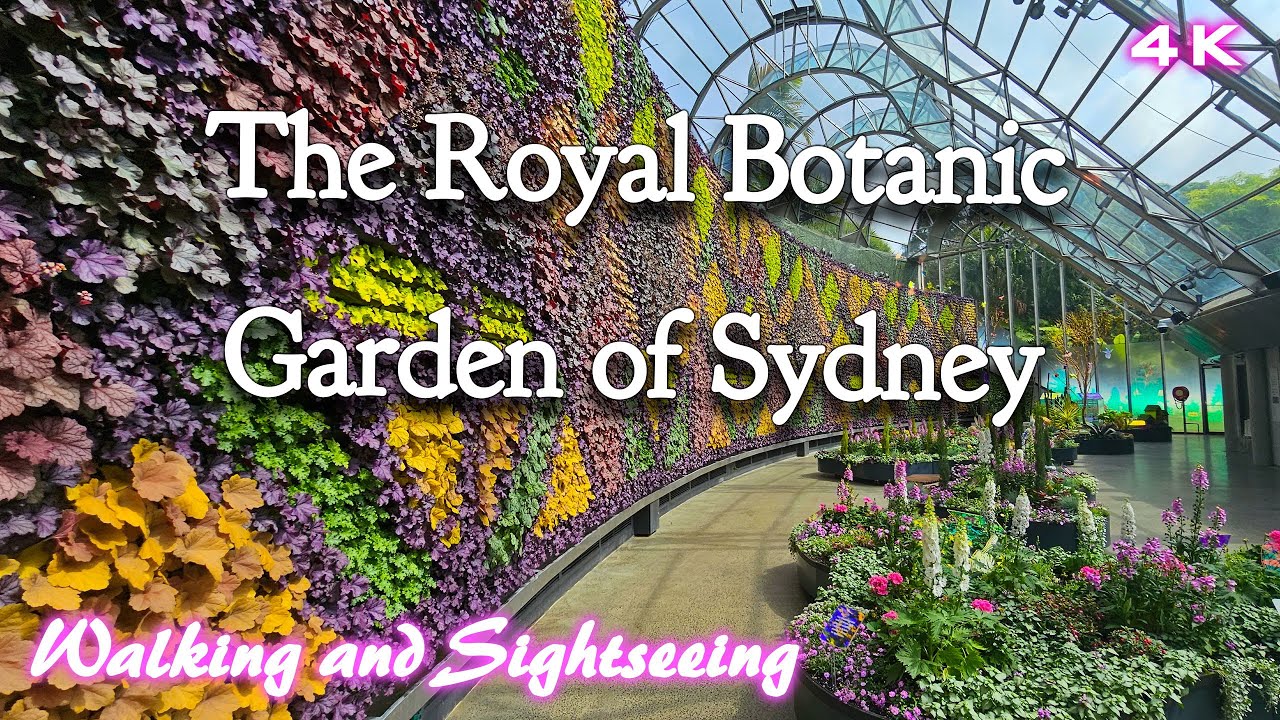 Royal Botanic Garden Of Sydney Australia 4k Walking Tour Exploring