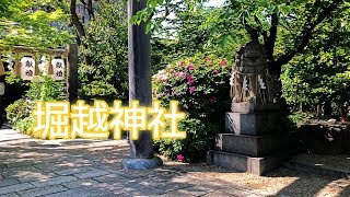 ＜一生に一度の願い？＞ パワースポット　堀越神社