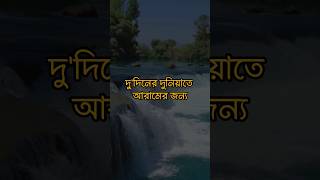 হারাম উপার্জন | যিনি হারাম উপার্জন করেন | islamic video | হারাম বর্জনীয় কেন | mmhp vlogs