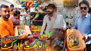 DISCOVER Pakistan's CHEAPEST Exotic Birds Market Lalukhet in 2025?