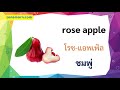 คำศัพท์ ผลไม้ ภาษาอังกฤษ พร้อมคำอ่าน ผลไม้ไทย ผลไม้ต่างประเทศ ชื่อผลไม้ต่างๆ fruits vocabulary