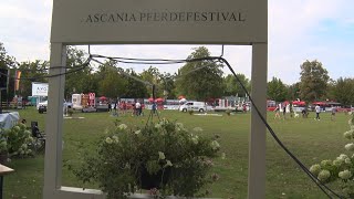 PUNKTum 11.ASCANIA Pferdefestival in Aschersleben