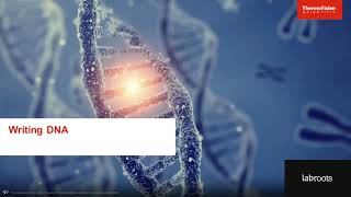 Fast and Reliable Gene Synthesis for Optimized Protein Expression